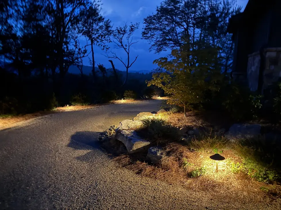 Driveway landscape lighting at dusk