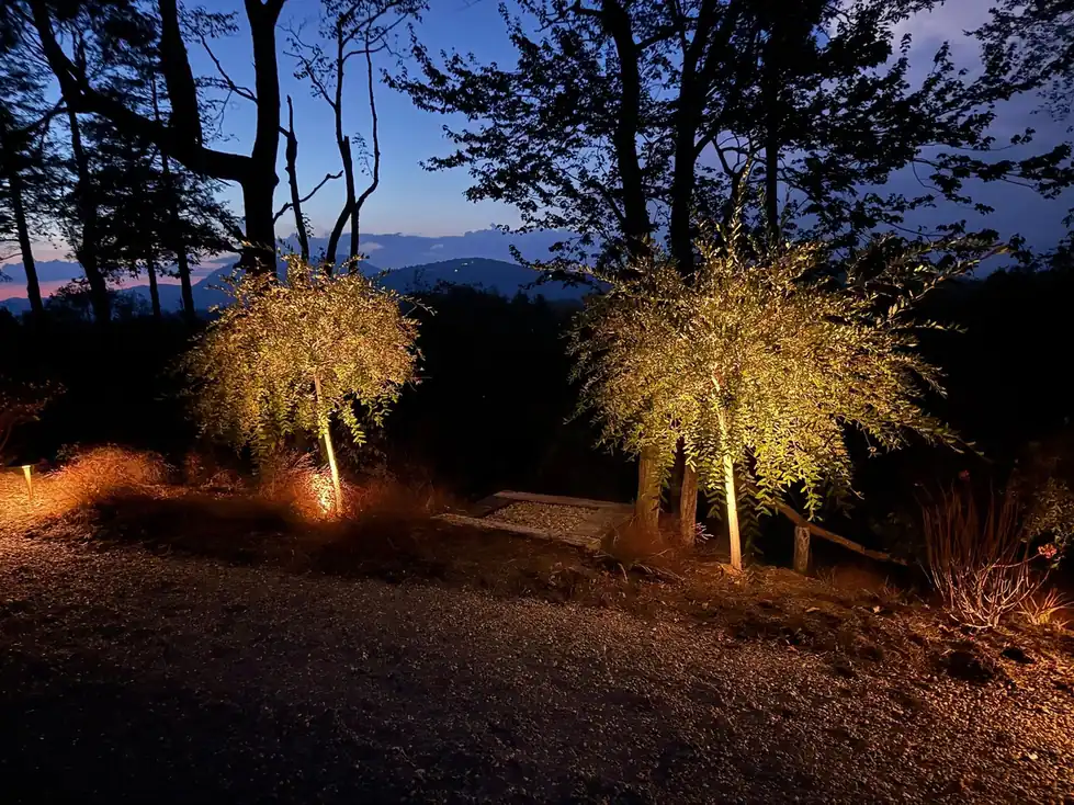 Ornamental trees uplit against a mountain dusk sky