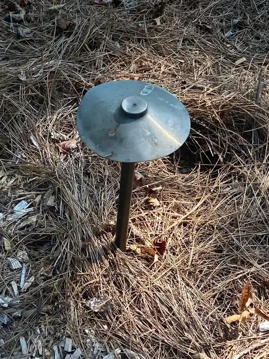 Bronze path light in pine straw landscaping